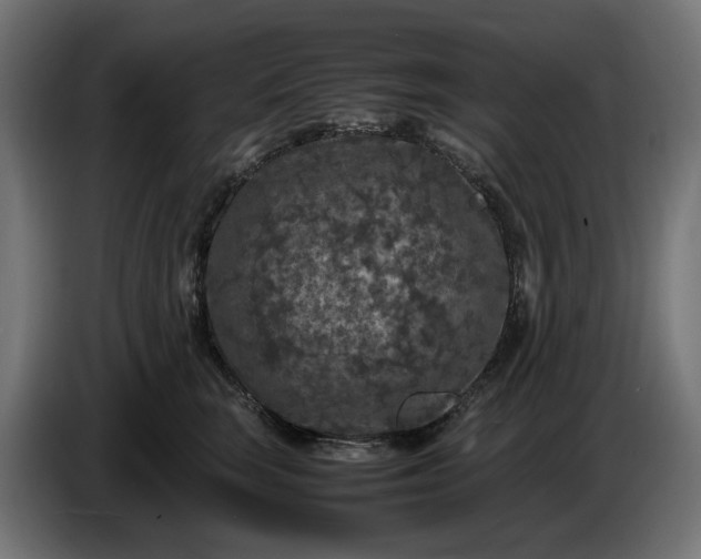 X0000087420663200705041309
