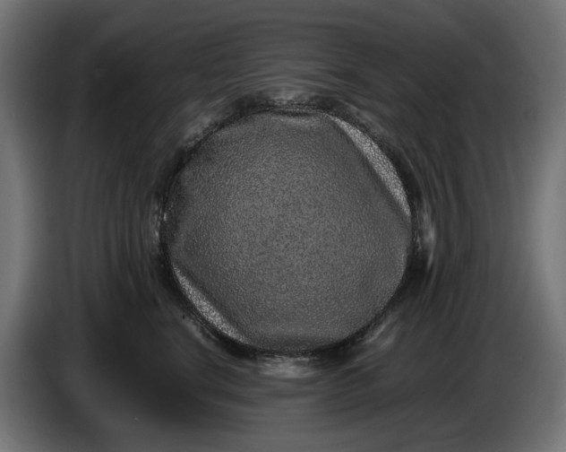 X0000087420664200705041309