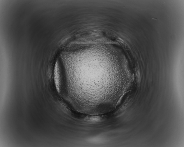 X0000087420665200705041309