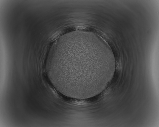 X0000087420666200705041309