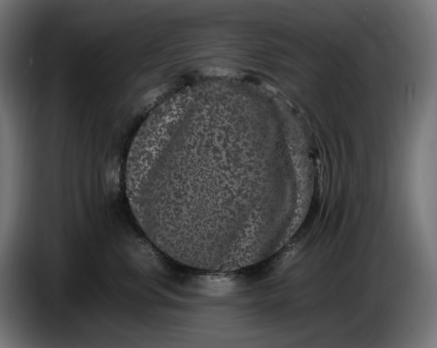 X0000087420668200705041309
