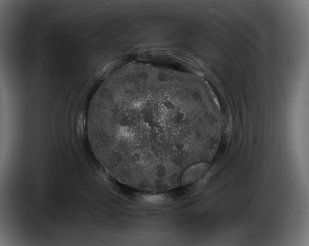 X0000087420669200705041309