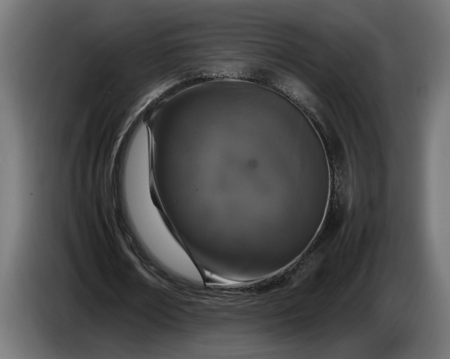 X0000087420674200705041308