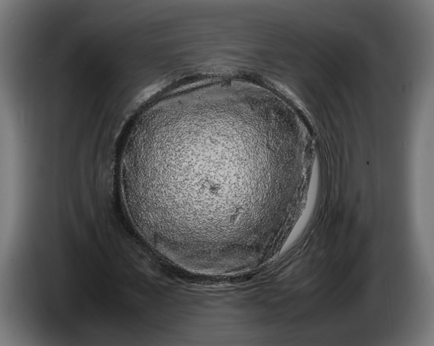 X0000087420675200705041308