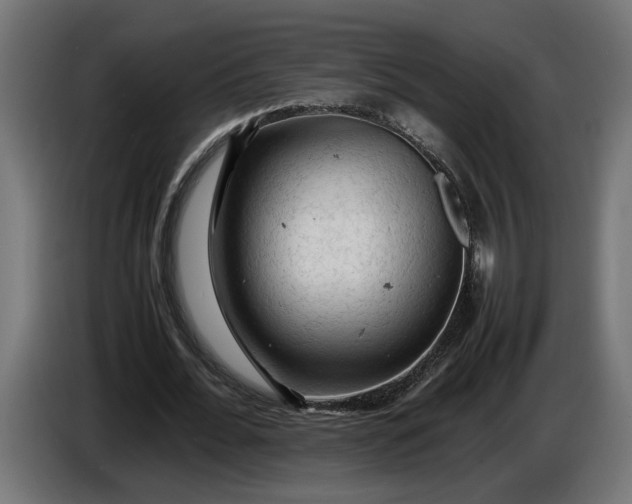 X0000087420676200705041308