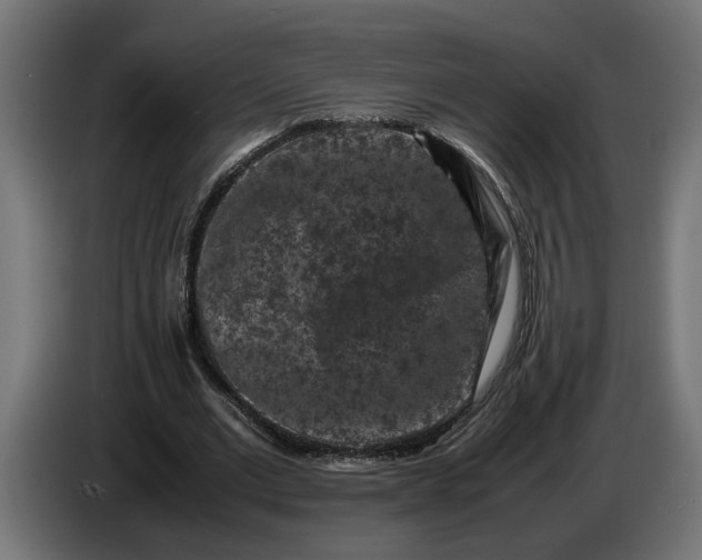 X0000087420677200705041308