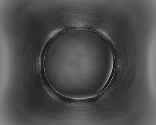 X0000087420678200705041308