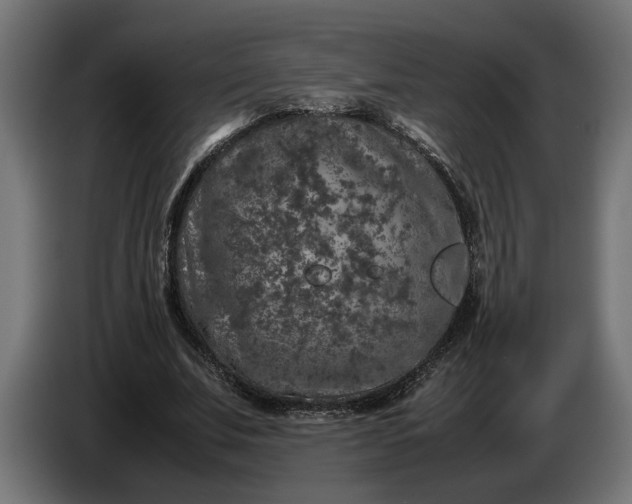 X0000087420679200705041308