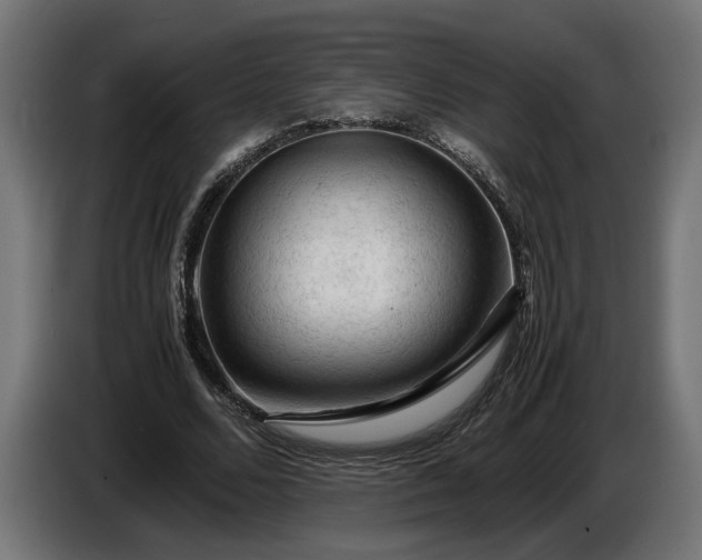 X0000087420680200705041308