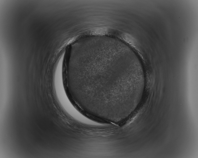 X0000087420681200705041308