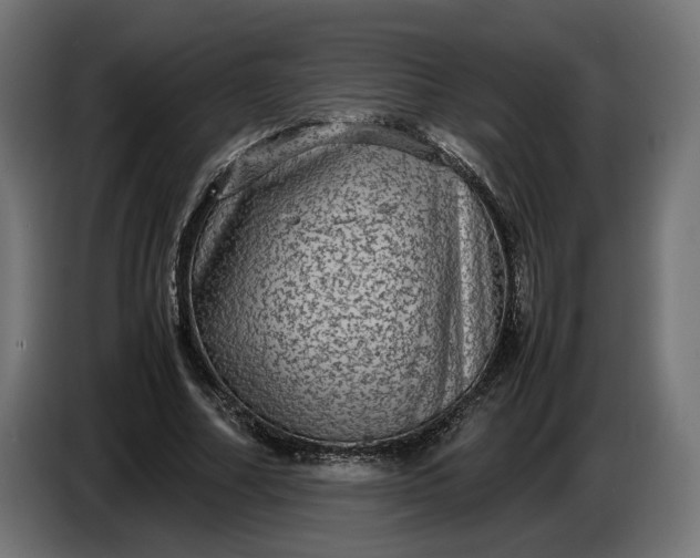 X0000087420682200705041308