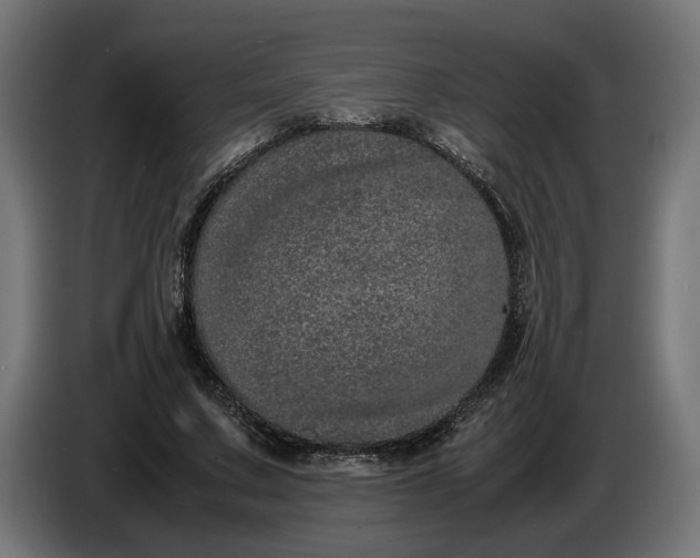 X0000087420683200705041308
