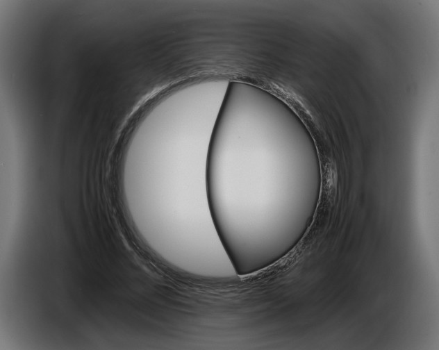 X0000087420684200705041308