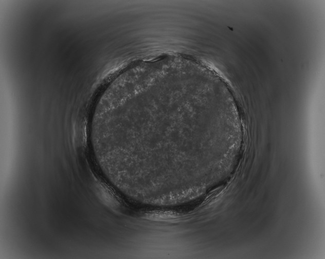 X0000087420685200705041308