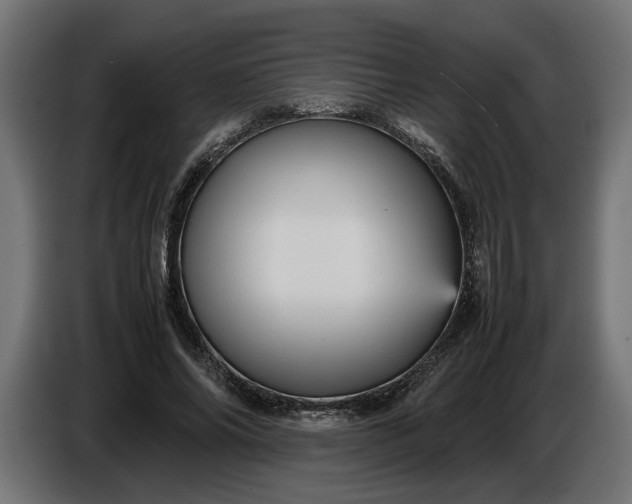 X0000087420686200705041308