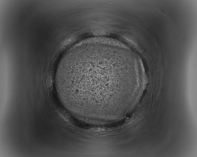 X0000087420687200705041308