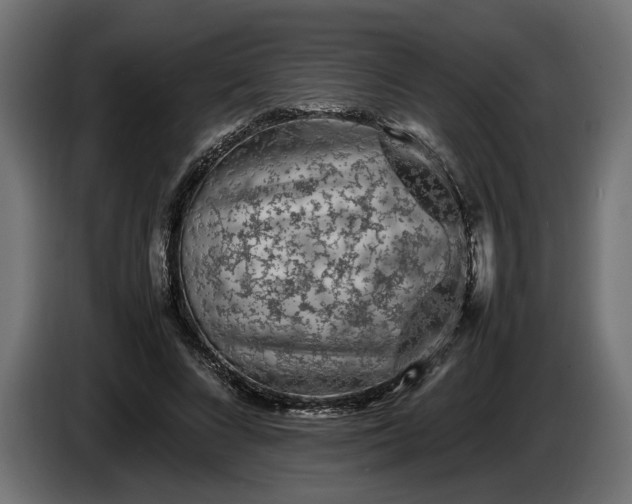 X0000087420688200705041308