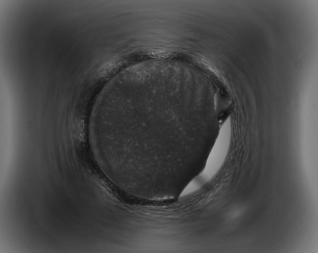 X0000087420689200705041308