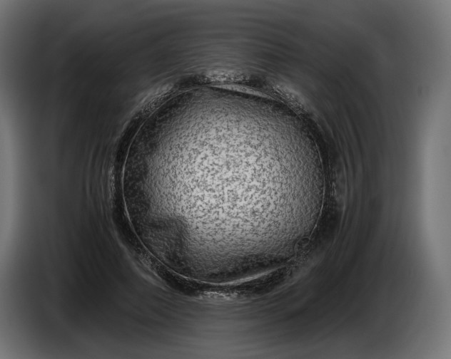 X0000087420690200705041308