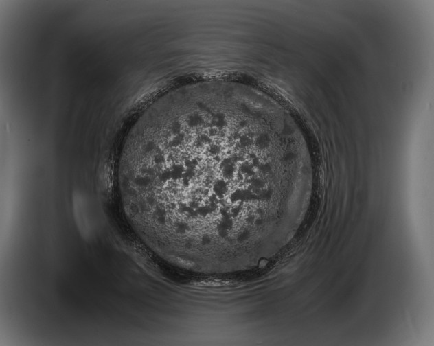 X0000087420691200705041308