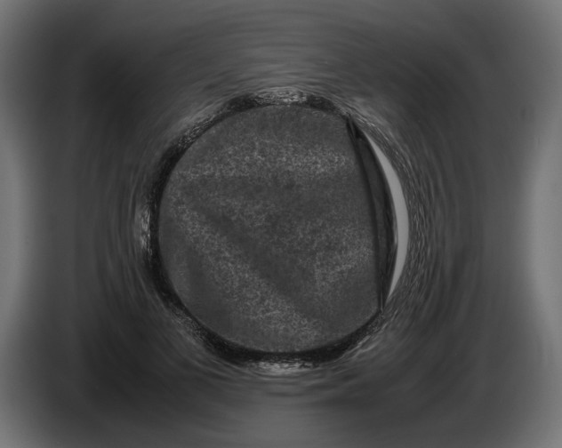 X0000087420693200705041308