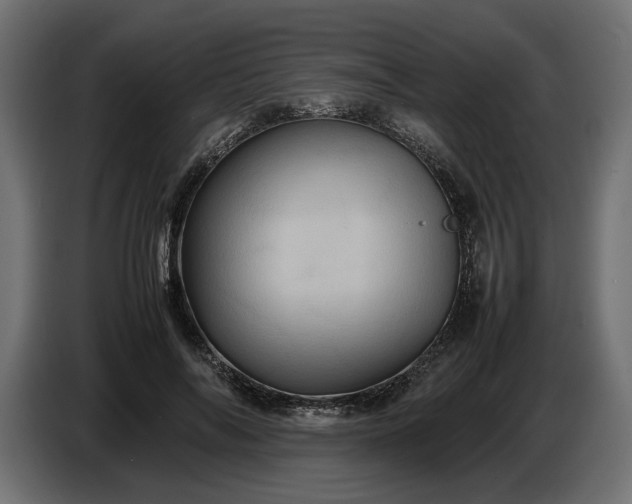 X0000087420694200705041308