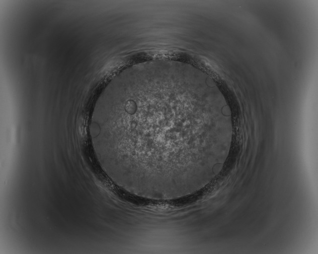 X0000087420695200705041308