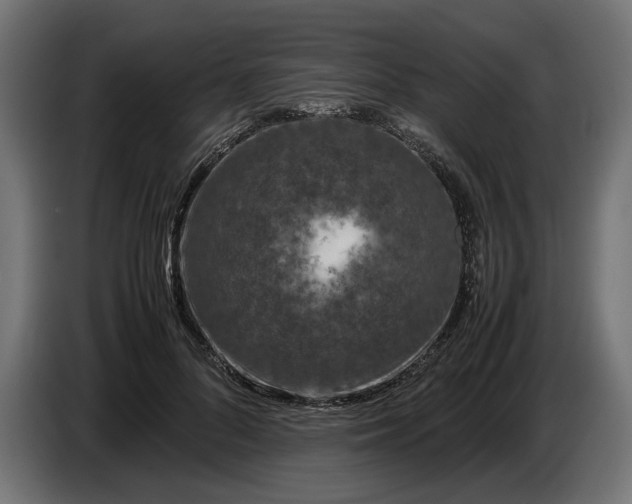 X0000087420696200705041308