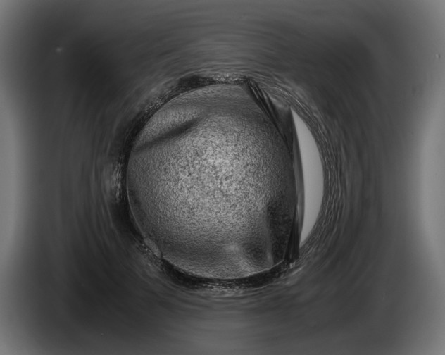 X0000087420697200705041308