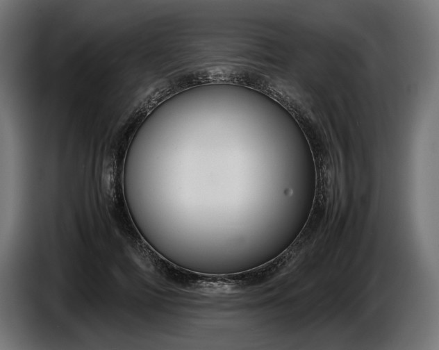 X0000087420698200705041308