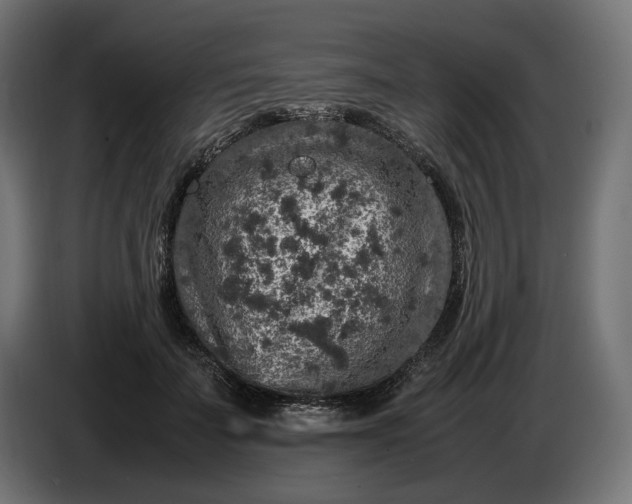 X0000087420699200705041308