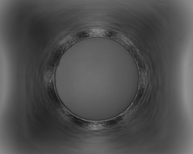 X0000087420701200705041308