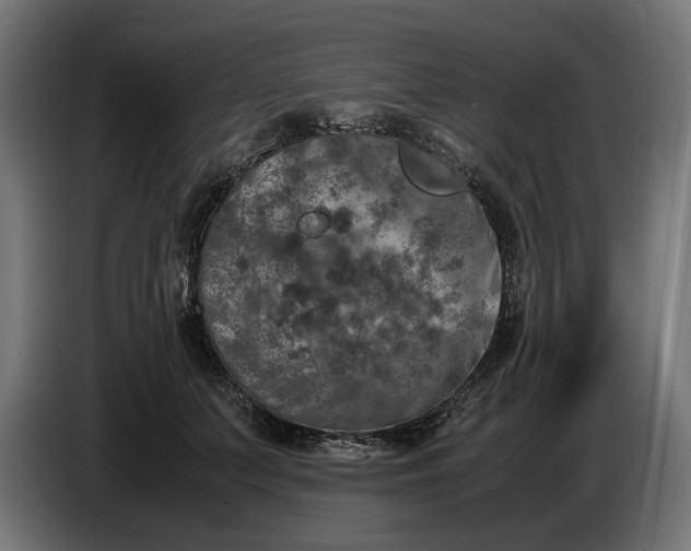 X0000087420703200705041308
