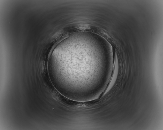 X0000087420704200705041308