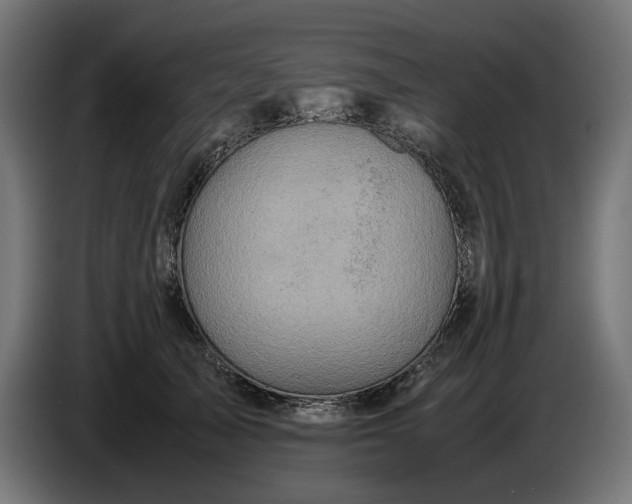 X0000087420705200705041308