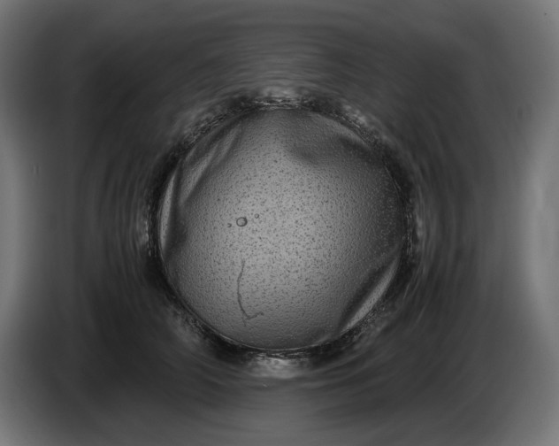 X0000087420706200705041308
