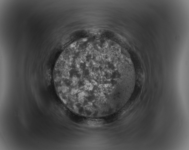 X0000087420707200705041308