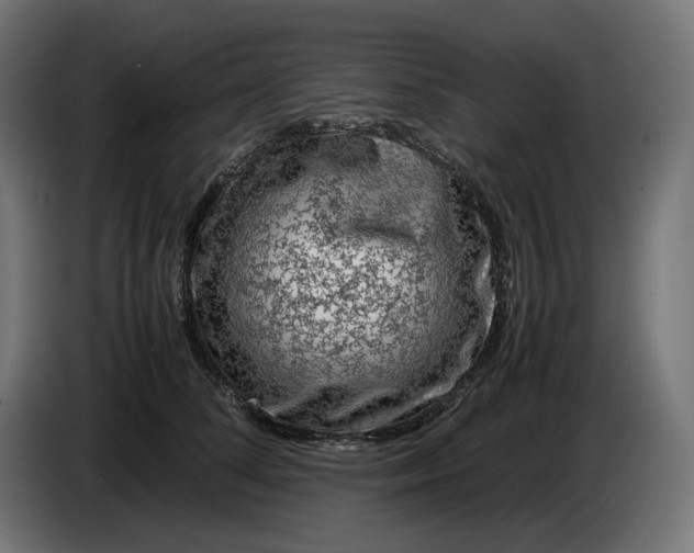 X0000087420708200705041308