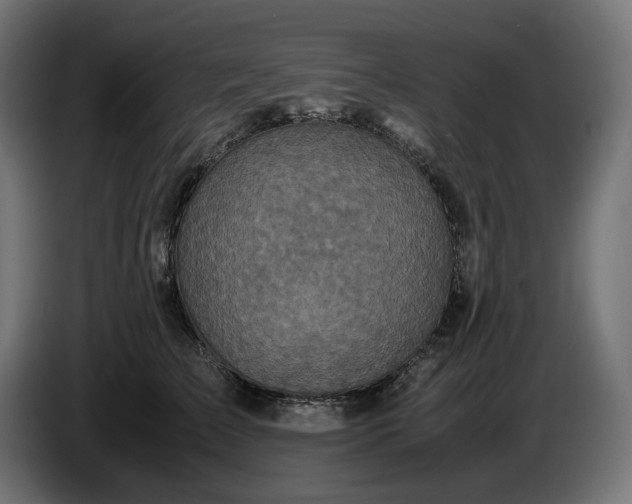 X0000087420709200705041308