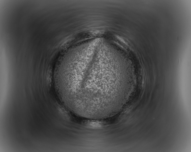 X0000087420710200705041308