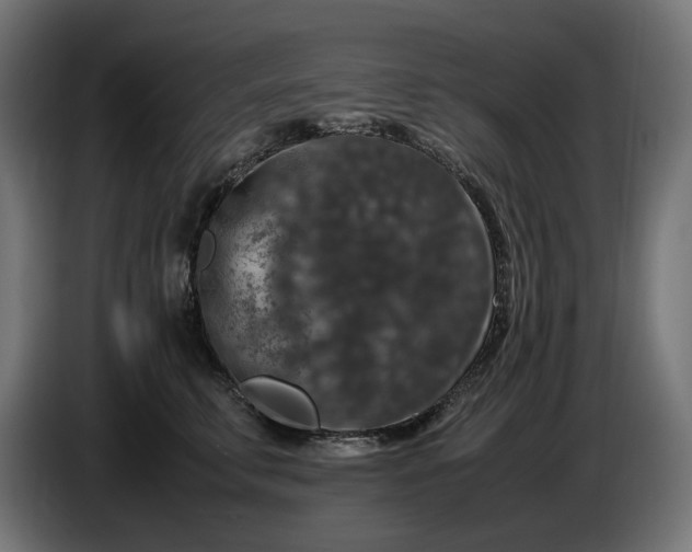 X0000087420711200705041308