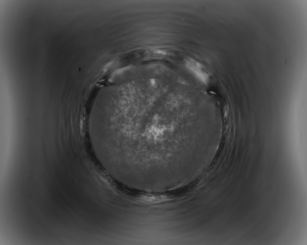 X0000087420712200705041308
