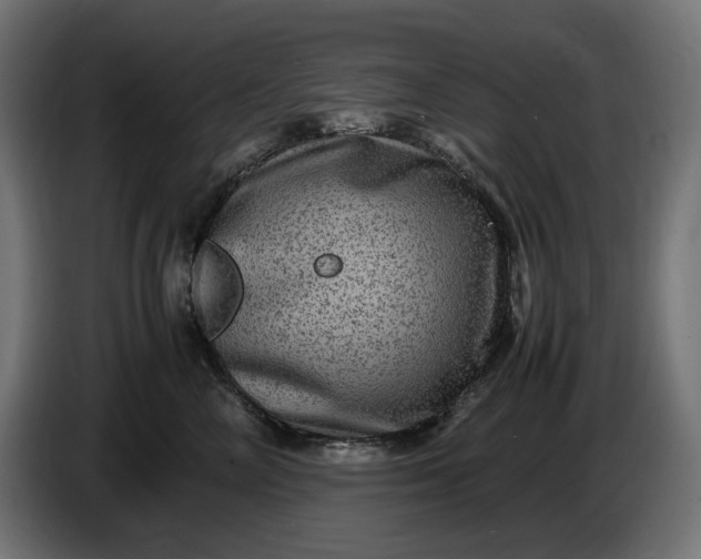X0000087420714200705041308