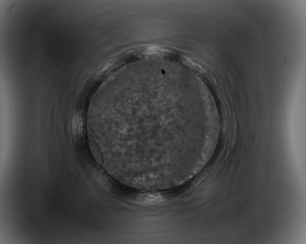 X0000087420715200705041308