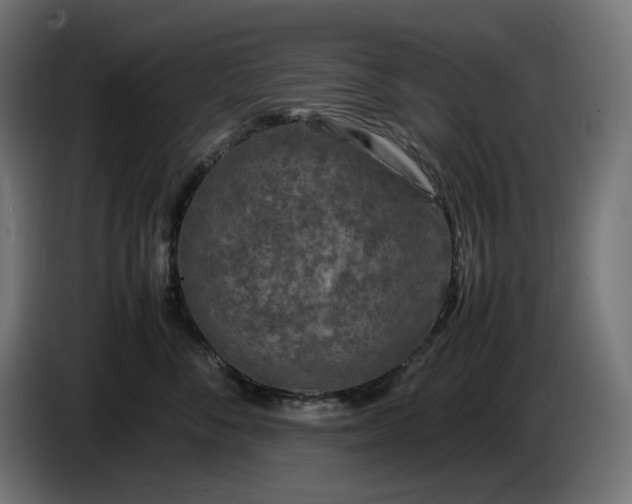 X0000087420716200705041308