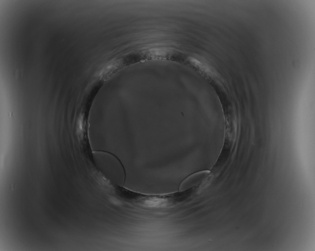 X0000087420718200705041308