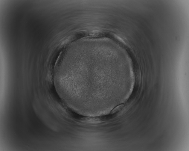 X0000087420719200705041308