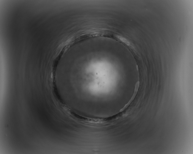 X0000087420720200705041308