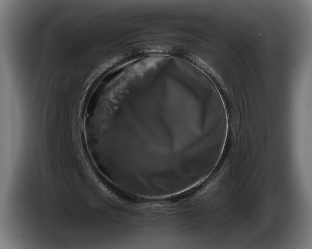 X0000087420721200705041307