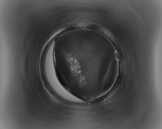 X0000087420722200705041307